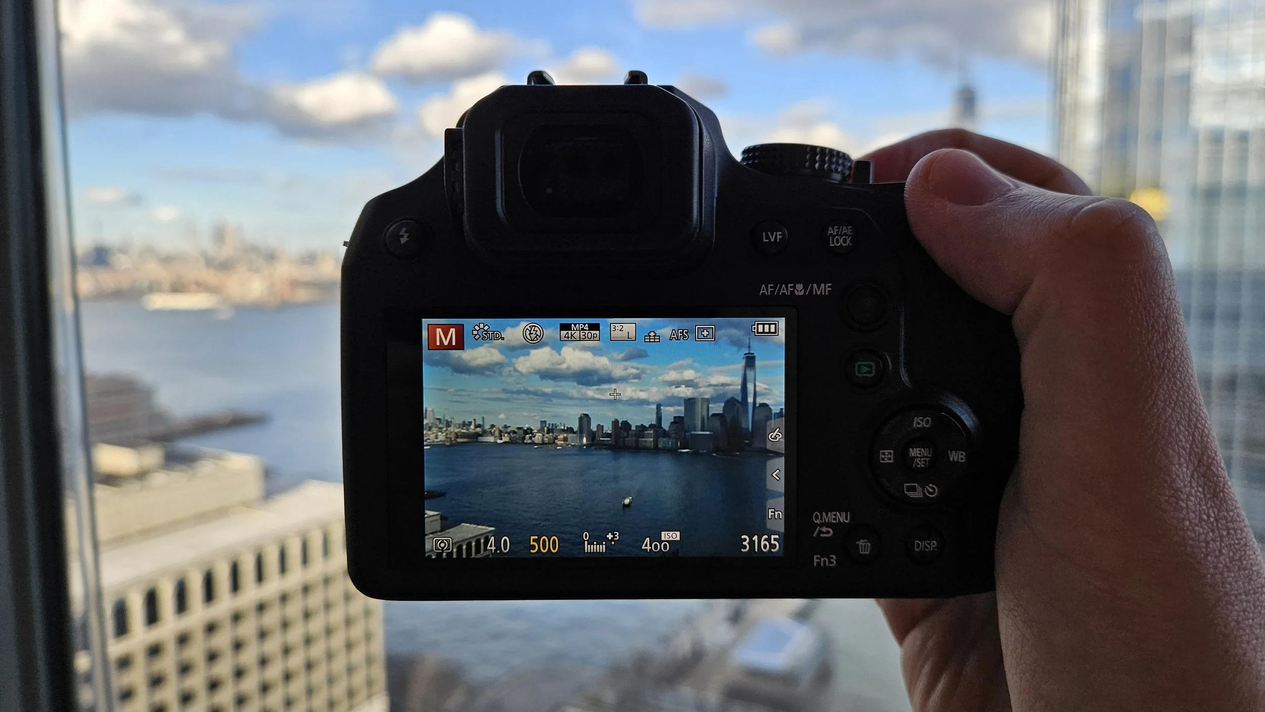 Panasonic Lumix FZ80D Review (2025): Big Zoom, Small Budget, No